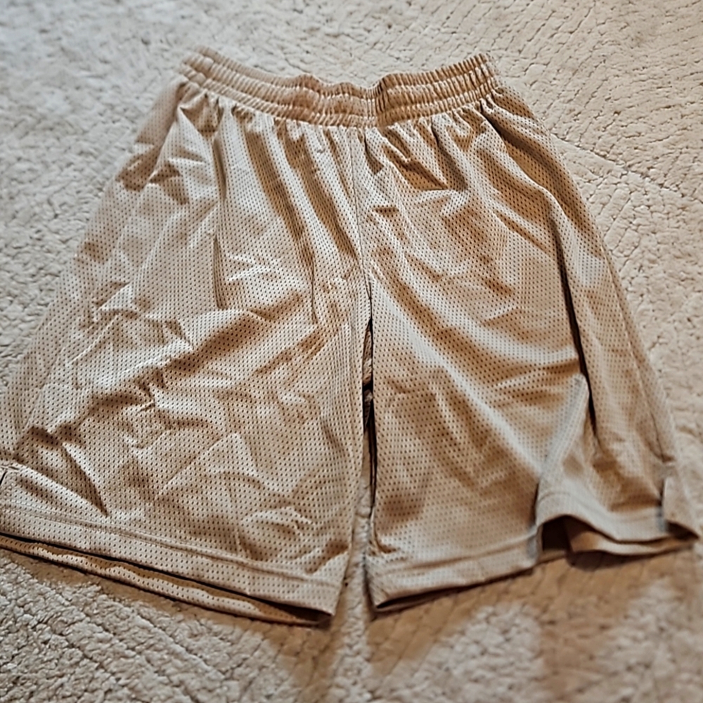 Mens DSG shorts